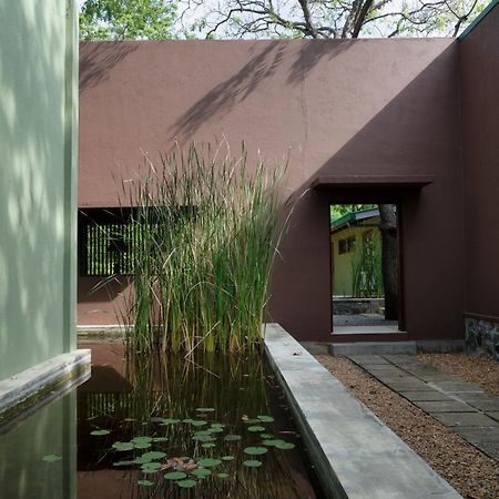 Neem Tree House Villa Kirinda  Dış mekan fotoğraf
